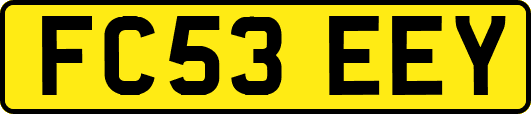 FC53EEY