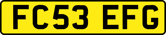 FC53EFG