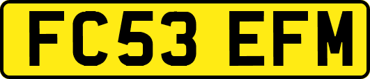 FC53EFM