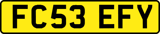 FC53EFY