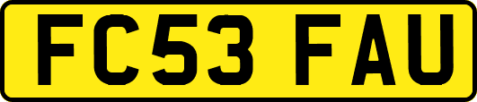 FC53FAU