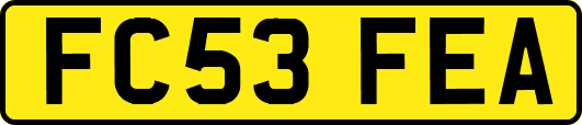 FC53FEA