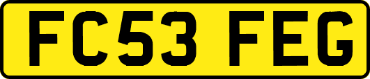 FC53FEG