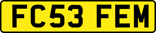 FC53FEM