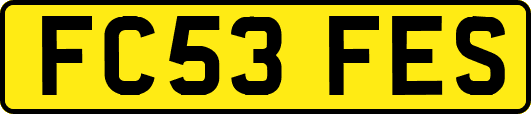 FC53FES