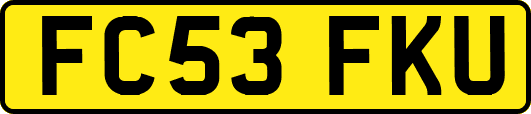 FC53FKU