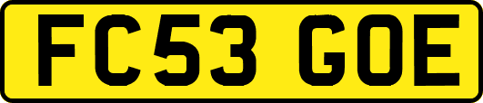 FC53GOE
