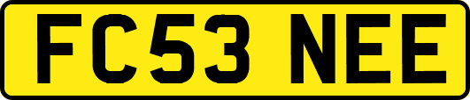 FC53NEE