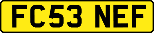 FC53NEF