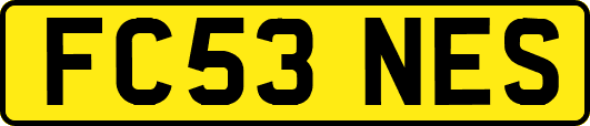 FC53NES