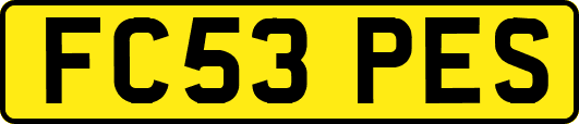 FC53PES