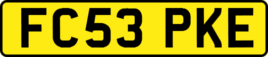 FC53PKE
