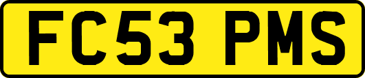 FC53PMS