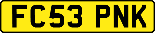 FC53PNK