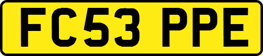 FC53PPE