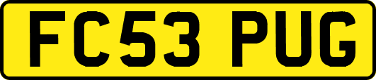 FC53PUG