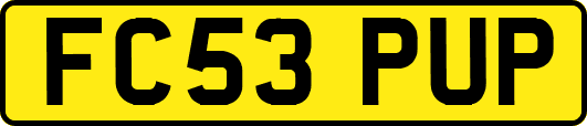 FC53PUP