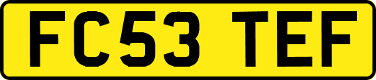 FC53TEF