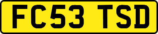 FC53TSD
