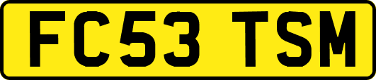 FC53TSM