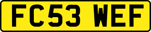 FC53WEF