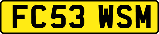 FC53WSM