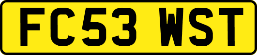 FC53WST