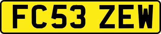 FC53ZEW