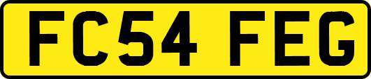 FC54FEG