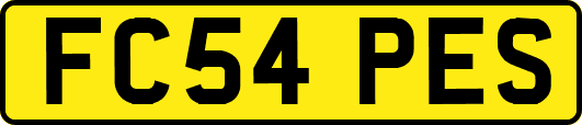 FC54PES