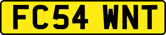 FC54WNT