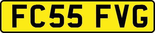 FC55FVG