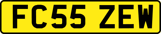 FC55ZEW