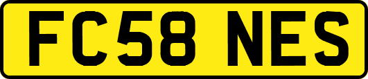 FC58NES