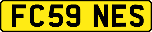FC59NES