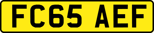 FC65AEF