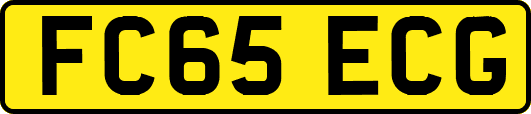 FC65ECG