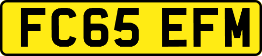 FC65EFM