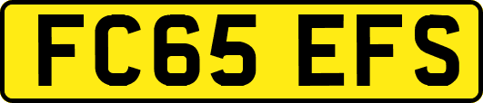 FC65EFS