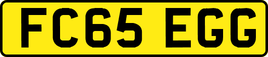 FC65EGG