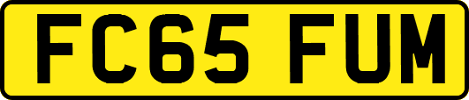 FC65FUM