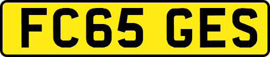 FC65GES