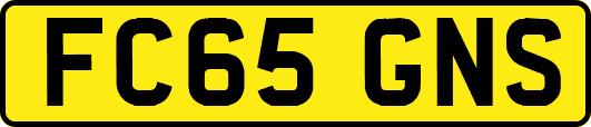 FC65GNS