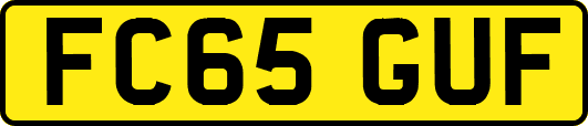 FC65GUF