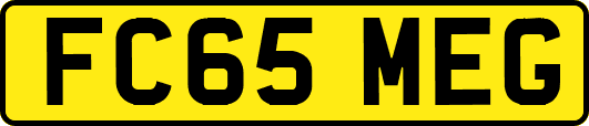 FC65MEG