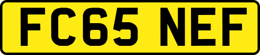 FC65NEF