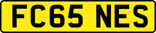 FC65NES