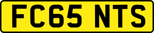 FC65NTS