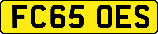 FC65OES