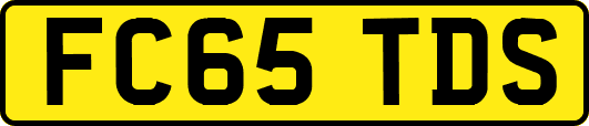 FC65TDS